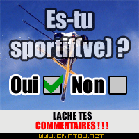 oui ou nn?