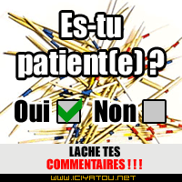 oui ou nn?