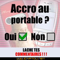 oui ou nn?