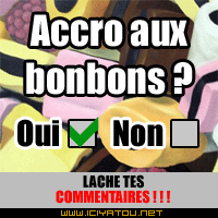 oui ou nn?